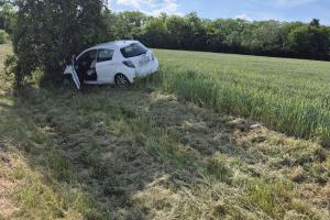 Náraz do stromu ukončil jízdu řidičky ve Starém Městě
