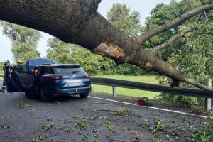 V Doudlebách nad Orlicí spadl na automobil při jízdě strom