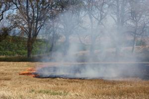 Příprava ohniště u obce Hoštice skončila požárem strniště a pokutou