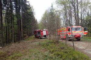 Při požáru lesa pomáhali moravskoslezským hasičům polští kolegové