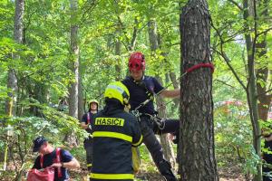 Hasiči zachraňovali paragladistu po nouzovém přistání v koruně stromu