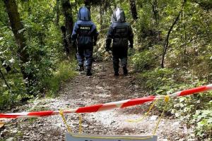 Pozor na sršně na vrchu Bořeň u Bíliny